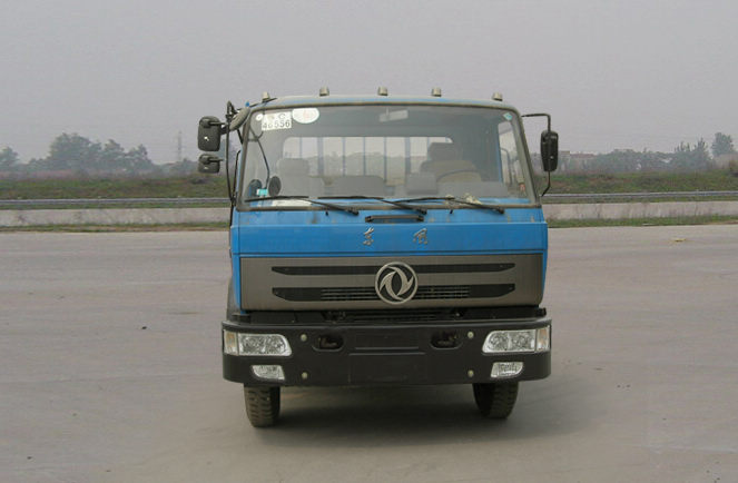 DFD1161G载货汽车燃油公告图片1