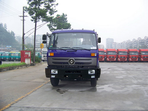 DFD1250G4载货汽车燃油公告图片1