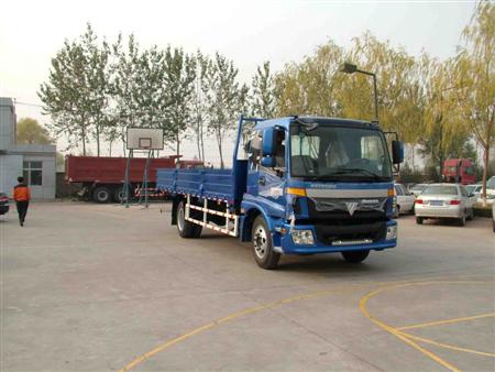 BJ1163VKPGG载货汽车燃油公告图片2