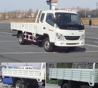 ZB1080LPFS载货汽车燃油公告图片2