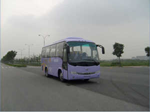 KLQ6796QE4客车燃油公告图片2