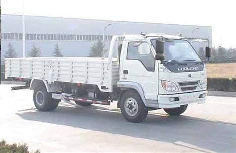 BJ1083VDJEA-S1载货汽车燃油公告图片2