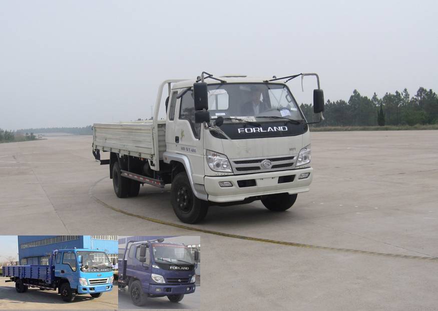 BJ1120VHPFG-S载货汽车燃油公告图片2