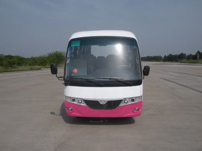 ZGT6540DG1轻型客车燃油公告图片1