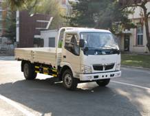 SY1063DAES1载货汽车燃油公告图片2
