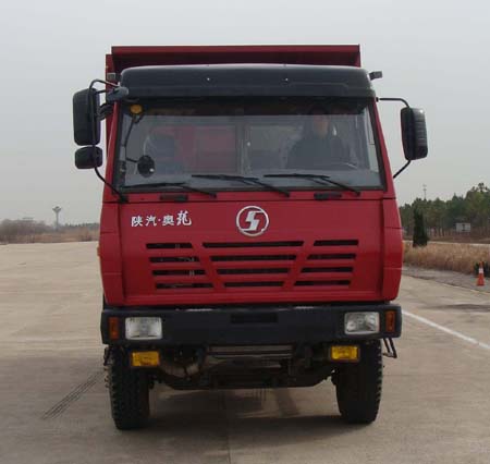 SX3255UN384自卸汽车燃油公告图片1