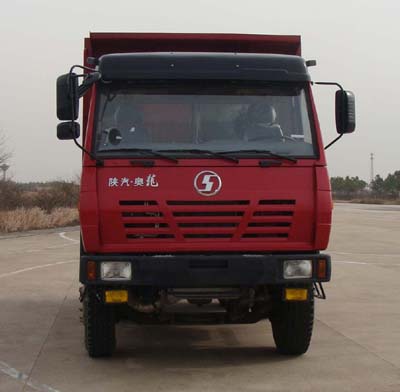 SX3255BR384自卸汽车燃油公告图片1