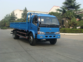 HYD3160DPD3自卸汽车燃油公告图片2