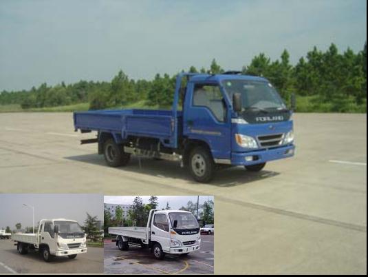 BJ1043V9JE6-MS载货汽车燃油公告图片2