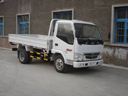 SY1043DLFS载货汽车燃油公告图片2