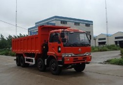 NXG3311D3AZE自卸汽车燃油公告图片2