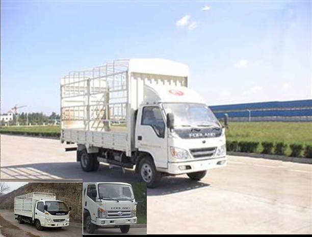 BJ5043V9BEA-SB仓栅式运输车燃油公告图片2