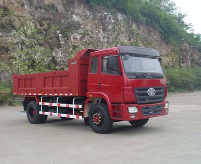 LZT3123PK2E3A90平头自卸汽车燃油公告图片2