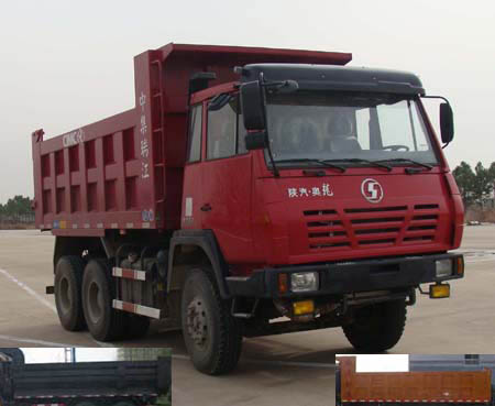 SX3255BR384自卸汽车燃油公告图片2