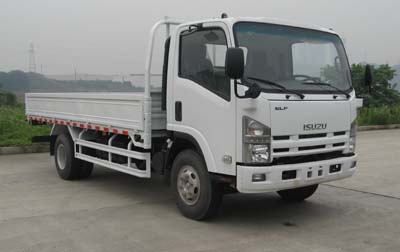 QL10909KAR载货汽车燃油公告图片2