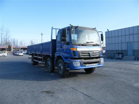 BJ1253VMPHH-S载货汽车燃油公告图片2