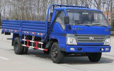 BJ1065P1U62普通货车燃油公告图片2