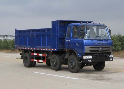BJ3258DLPHB-19自卸汽车燃油公告图片2