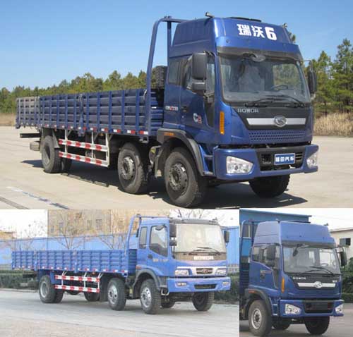 BJ1248VMPHH-1载货汽车燃油公告图片2