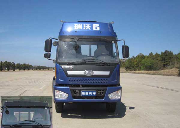 BJ1248VMPHH-1载货汽车燃油公告图片1