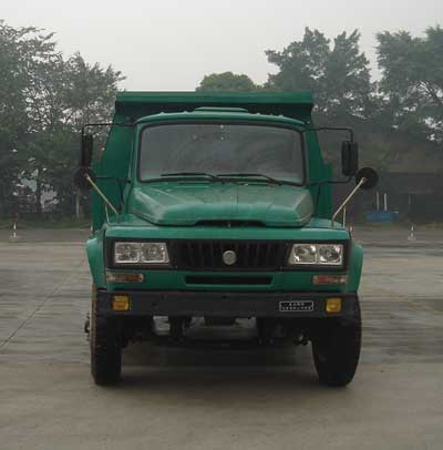 LZ3120GAK自卸汽车燃油公告图片1