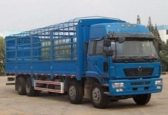 NXG5310CSY3B仓栅式运输车燃油公告图片2