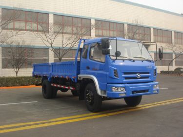 SSF1110HHP77-1载货汽车燃油公告图片2