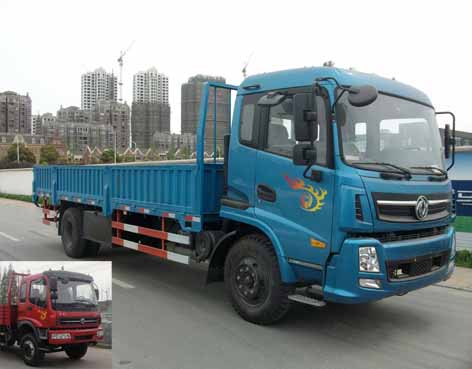 DHZ1161G1载货汽车燃油公告图片2