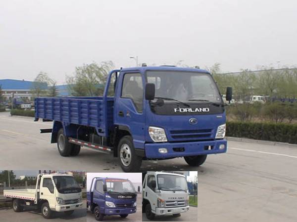 BJ1043V9JEA-SW载货汽车燃油公告图片2