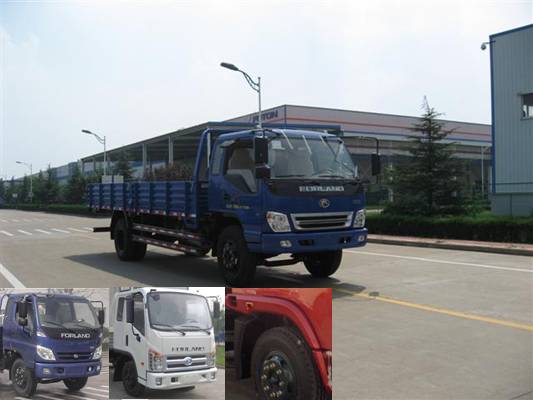 BJ1153VLPFG-B载货汽车燃油公告图片2