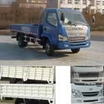 ZB1060LDD3S载货汽车燃油公告图片2