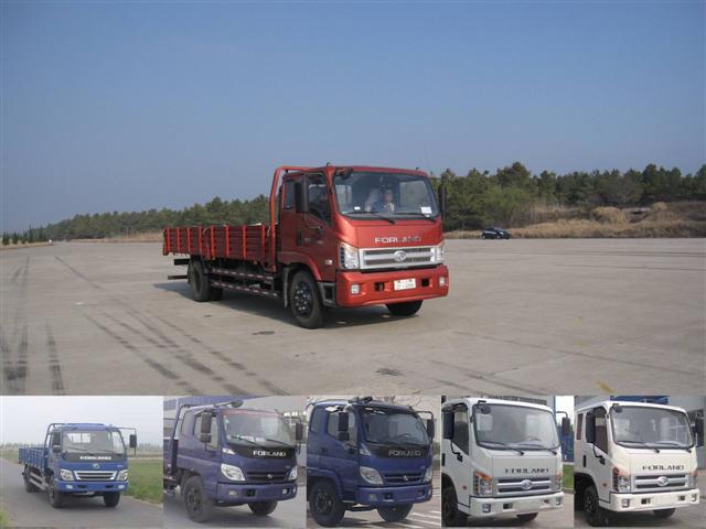BJ1153VKPFG-A载货汽车燃油公告图片2