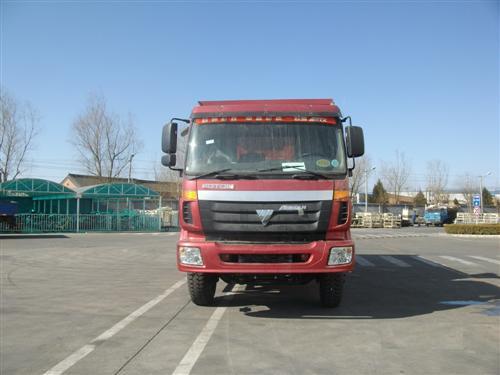 BJ3253DLPJE-8自卸汽车燃油公告图片1