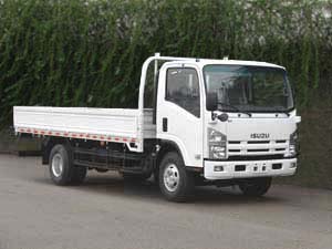 QL1100TKAR载货汽车燃油公告图片2