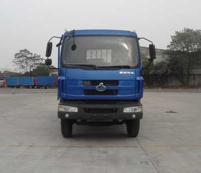 LZ1165RAP载货汽车燃油公告图片1