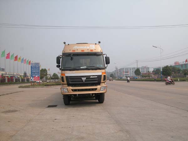 SGZ3300BJ3自卸汽车燃油公告图片1