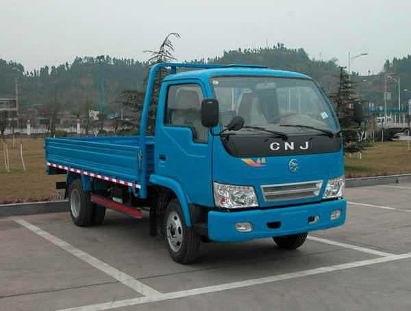 CNJ1040ED28B2载货汽车燃油公告图片2