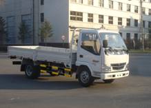 SY1043DLCS2载货汽车燃油公告图片2