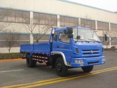 SSF1110HHP88-1载货汽车燃油公告图片2