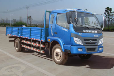 LFJ1053G1载货汽车燃油公告图片2