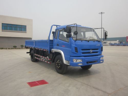 SSF1110HHP88-1载货汽车燃油公告图片2
