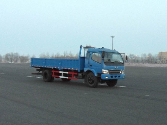 DD1163P01载货汽车燃油公告图片2