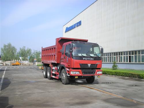 BJ3253DLPJE-8自卸汽车燃油公告图片2