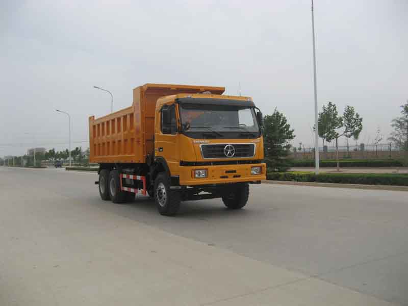 DYX3253DA29WPD3C自卸汽车燃油公告图片2