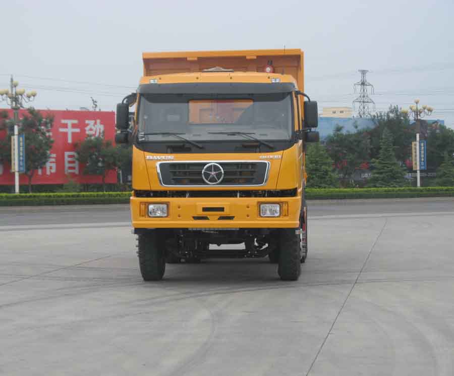DYX3253DA29WPD3C自卸汽车燃油公告图片1