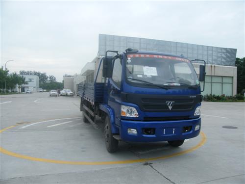 BJ1149VKPEG-FB载货汽车燃油公告图片2