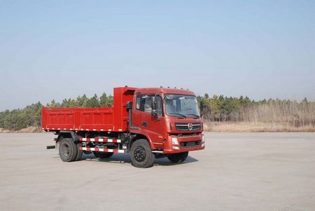 YTA3160GTLG3自卸汽车燃油公告图片2