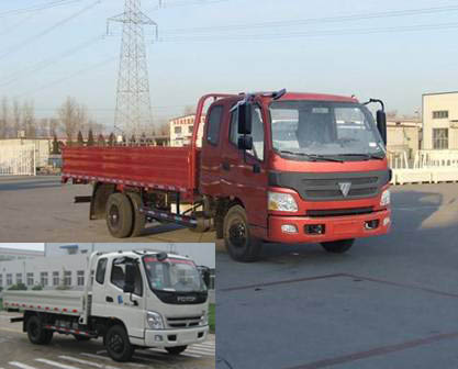 BJ1089VEPEA-FC载货汽车燃油公告图片2