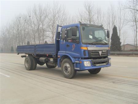 BJ1163VKPGG-1载货汽车燃油公告图片2