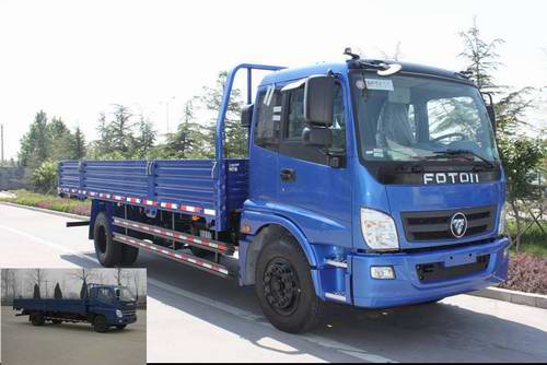 BJ1121VHPFK-S载货汽车燃油公告图片2